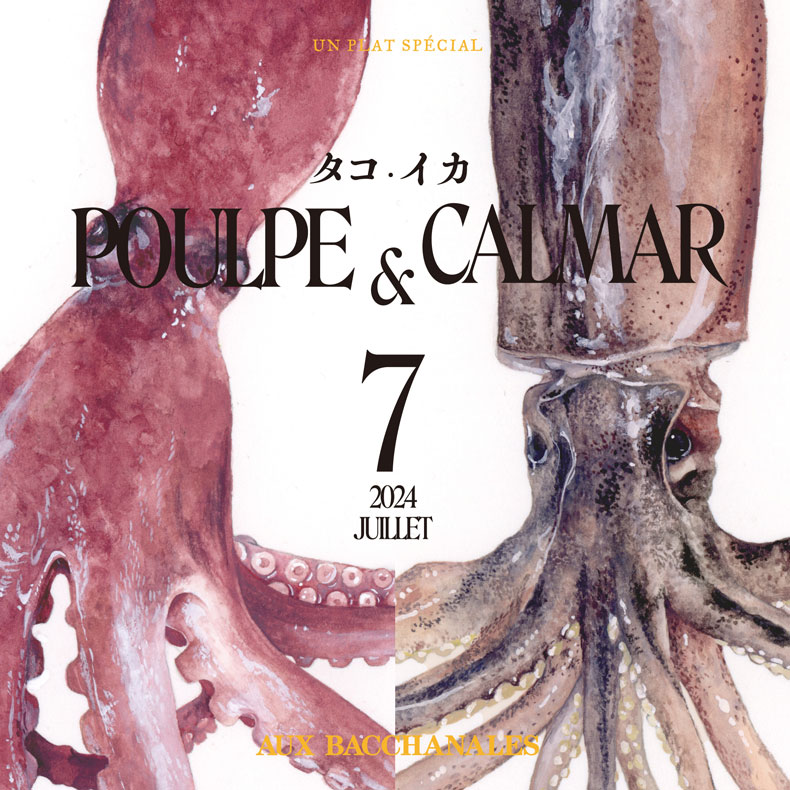 【フェア】7月のおすすめ食材「POULPE・CALMAR（タコ・イカ）」